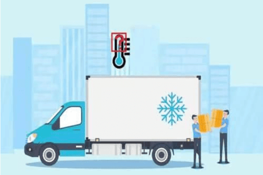 The Role of PDAs in Ensuring Effective Vaccine Cold Chain Monitoring